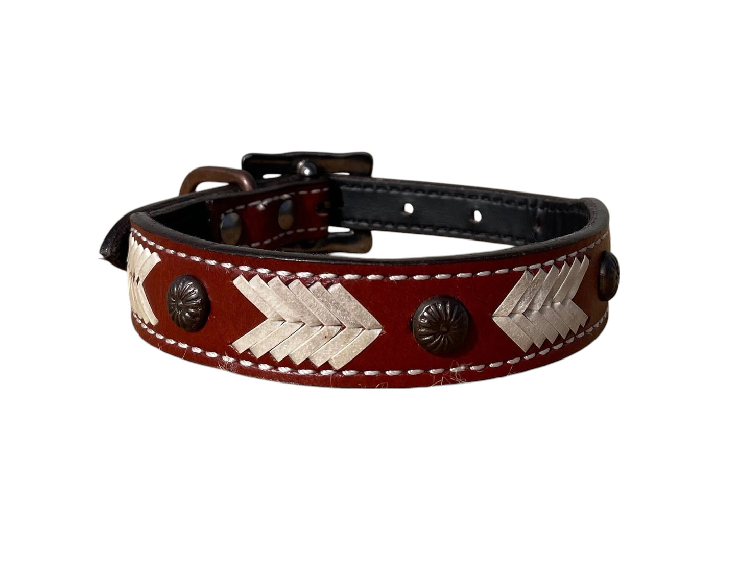 Genuine Leather Dog Collar with Rawhide and Concho Detail