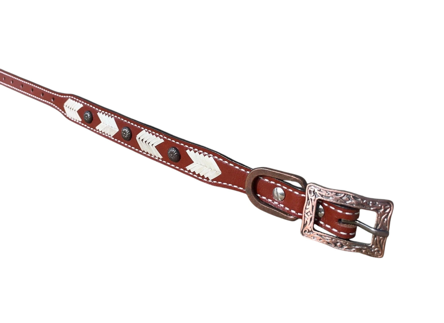 Genuine Leather Dog Collar with Rawhide and Concho Detail