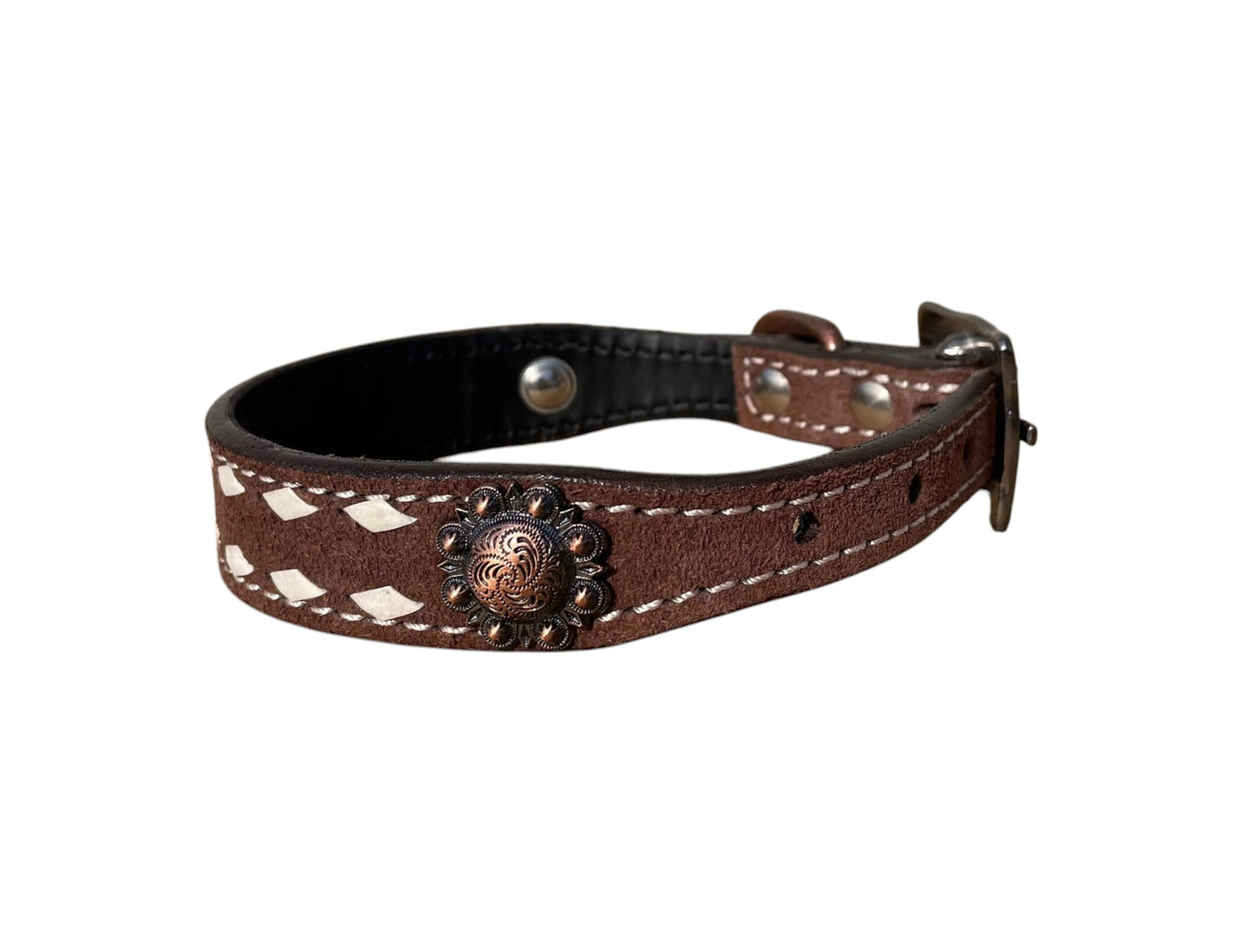 Roughout Leather Dog Collar with Rawhide Stitching and Concho Accents