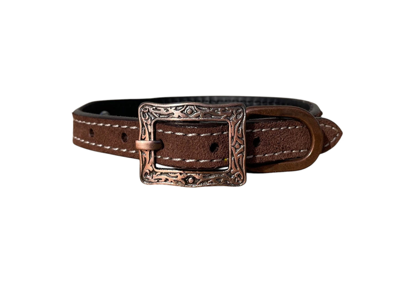 Roughout Leather Dog Collar with Rawhide Stitching and Concho Accents
