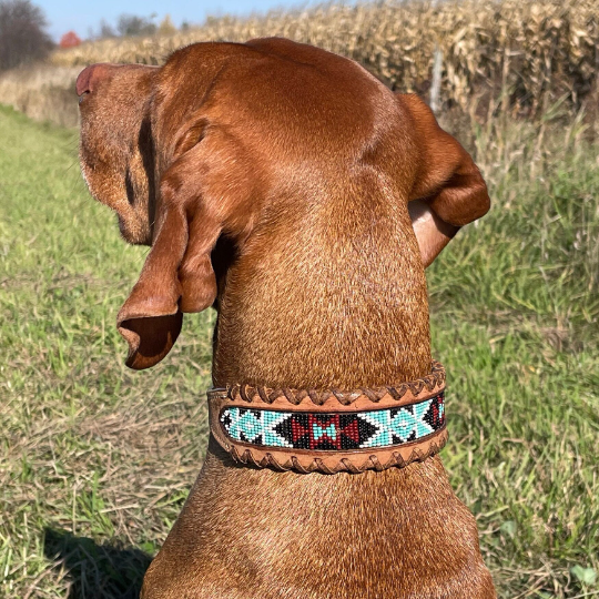 Genuine Leather Dog Collar with Beaded Inlay and Buck Stitch